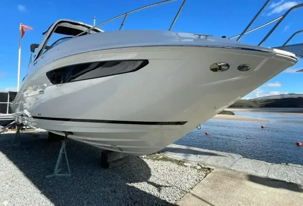 Sea Ray 265 Sundancer 2025 - Image 3