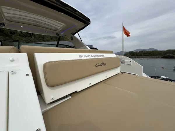 Sea Ray 320 DA 2024 - Image 19