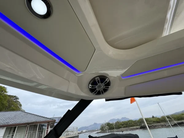 Sea Ray 320 DA 2024 - Image 10