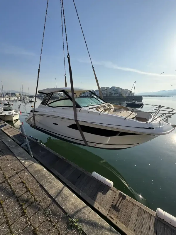 Sea Ray 320 DA 2024 - Image 2