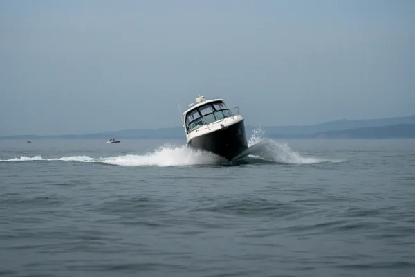 Sea Ray 335 Sundancer 2007 - Image 6