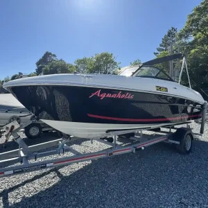 Bayliner Vr4 2018