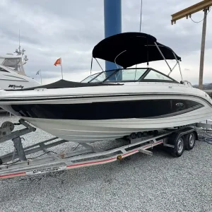 Sea Ray 210 SPX 2015